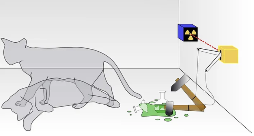 Image depicts the Schrodinger cat thought experiment.